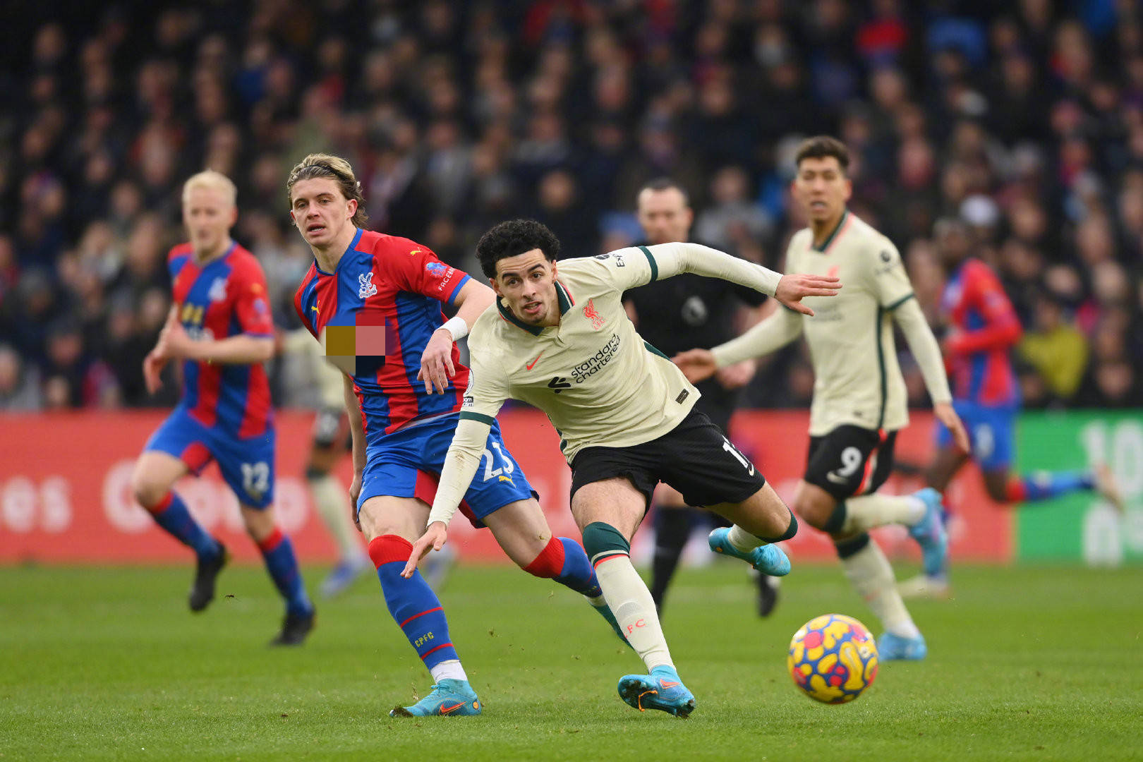 众心目中的 众心目中的